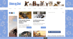 Desktop Screenshot of chien-ou-chat.com
