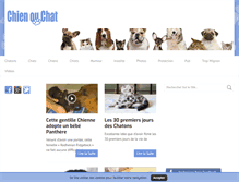 Tablet Screenshot of chien-ou-chat.com